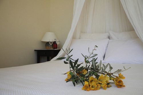Urania Luxury Villas Pondi Ngoại thất bức ảnh